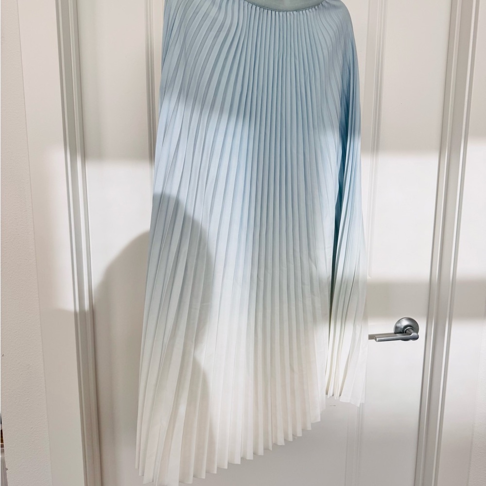 Blue and White Pleated Skirt